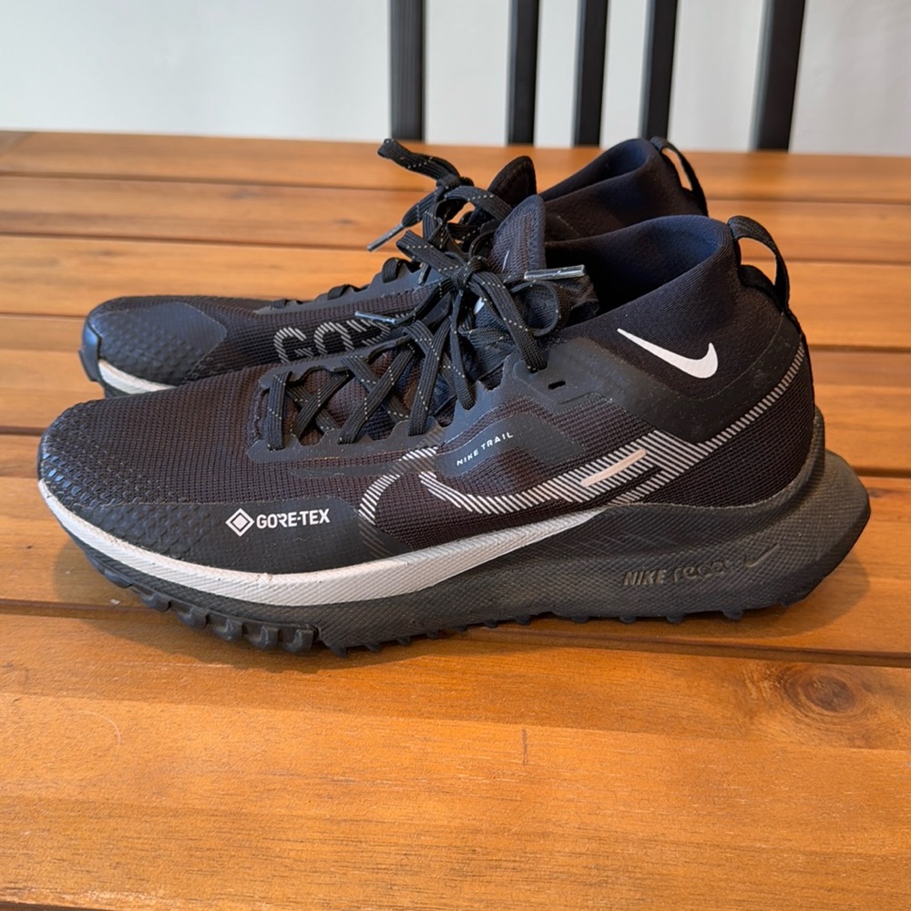 Nike Pegasus Trail GORTEX
